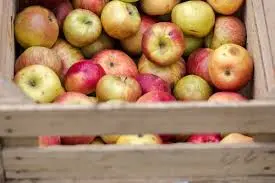 Pommes déclassées "ferme de Maisoncelle" (prix au kg)  