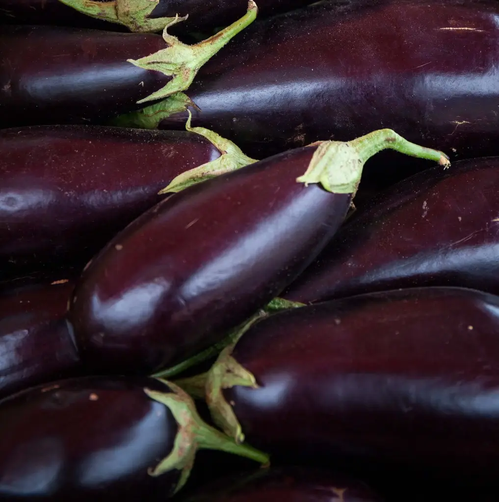  Aubergine "Les jardins de PAPIOLE" (prix au kg)  