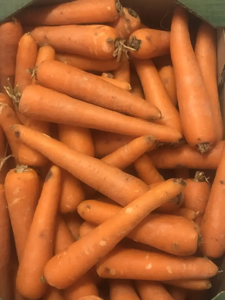 Carottes "ferme de maisoncelle" (prix au kg) 