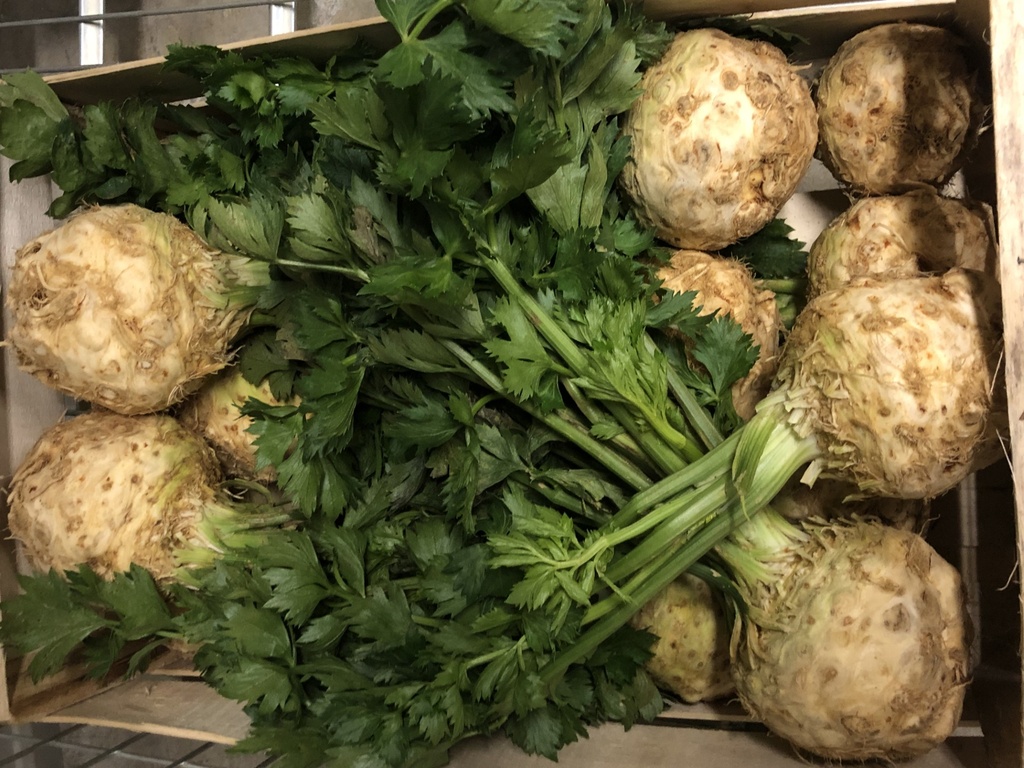 Céléri-Rave bio jardins de papiole (prix au kg) 