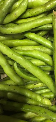 Féve à écosser bio( prix au Kg) légumes produits par la ferme de Maisoncelle 