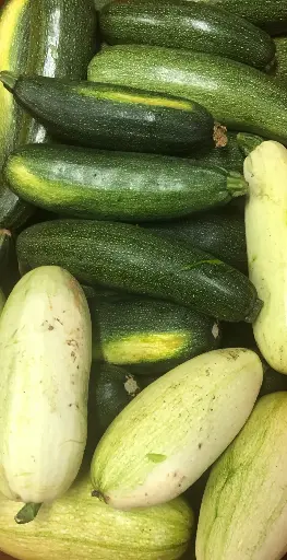 Courgette calibre standard bio( prix au Kg) légumes produits par la ferme de Maisoncelle 