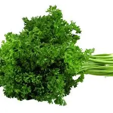 Persil frisé (prix/botte)  Le jardin de Papiole  