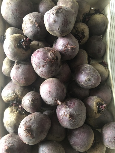  Betterave rouge  (prix au kg) légumes produits par les jardin d'appui