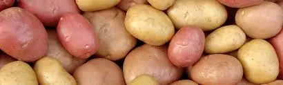 Pommes de terre roses et jaunes (prix au kg) "papiole" 