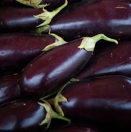  Aubergine "Les jardins de PAPIOLE" (prix au kg)  