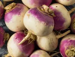 Navets rose ou boule d'or "Maisoncelle  "(prix au kg) 