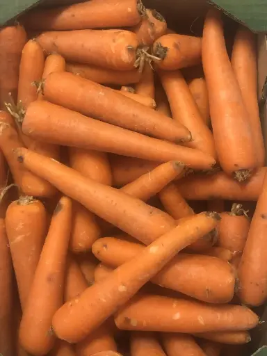 Carottes "ferme de maisoncelle" (prix au kg) 